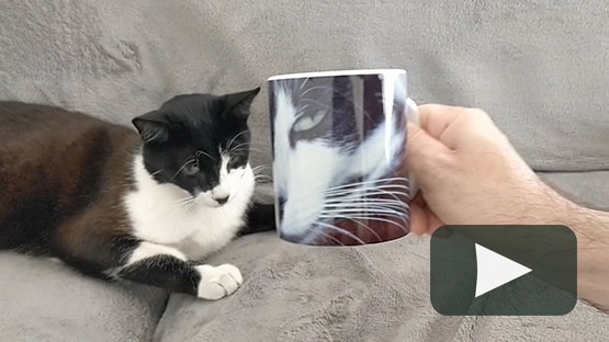 Caneca Com o Seu Animal de Estimação